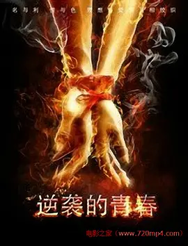 人妻仑刮八a级毛片免费看