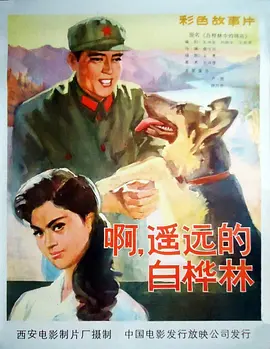 夜夜视频