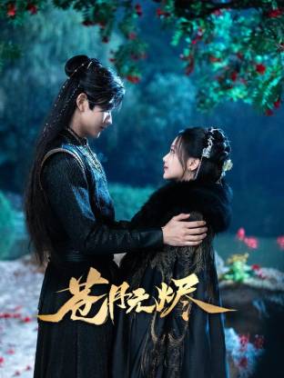 中韩高清无专砖码区