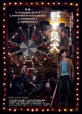 欧美一级纯片免费安全在线看