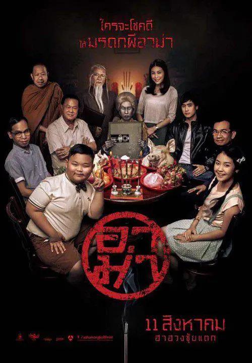 无码无需播放器在线观看 - 电视剧完整版在线观看