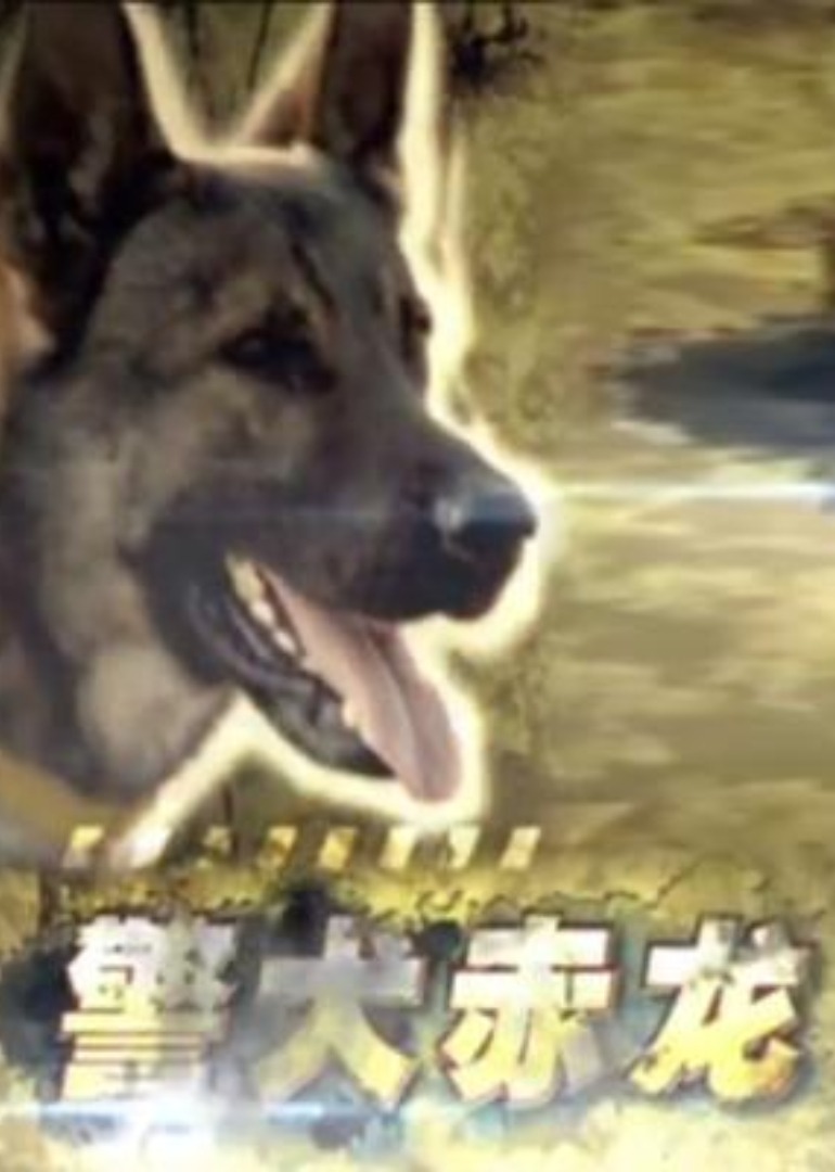 中文字幕无码青柠影院