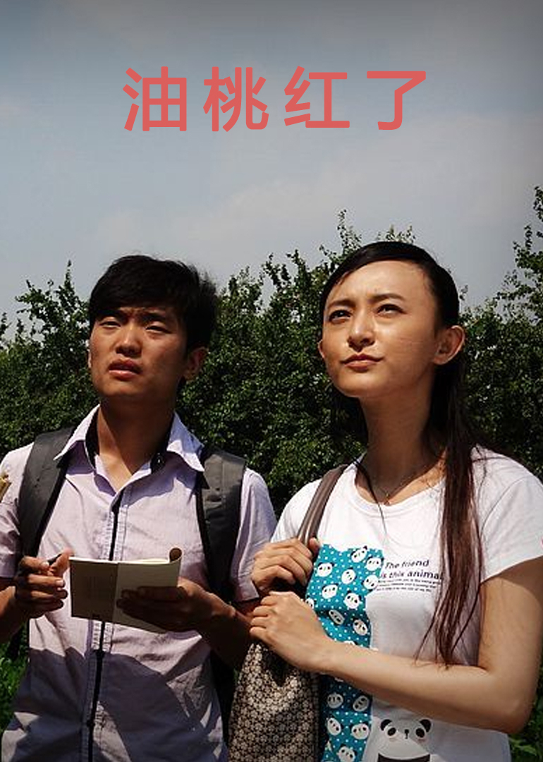 精品福利一区二区免费视频