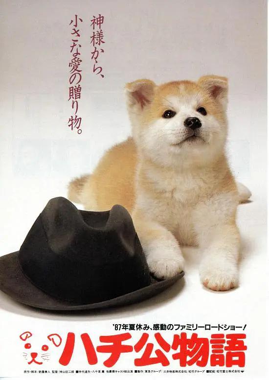 午夜爽爽