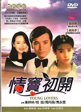 亚洲日韩无砖专区一中文字