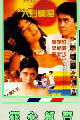 欧美三级视频在线播放 - 1080P超清免费观看