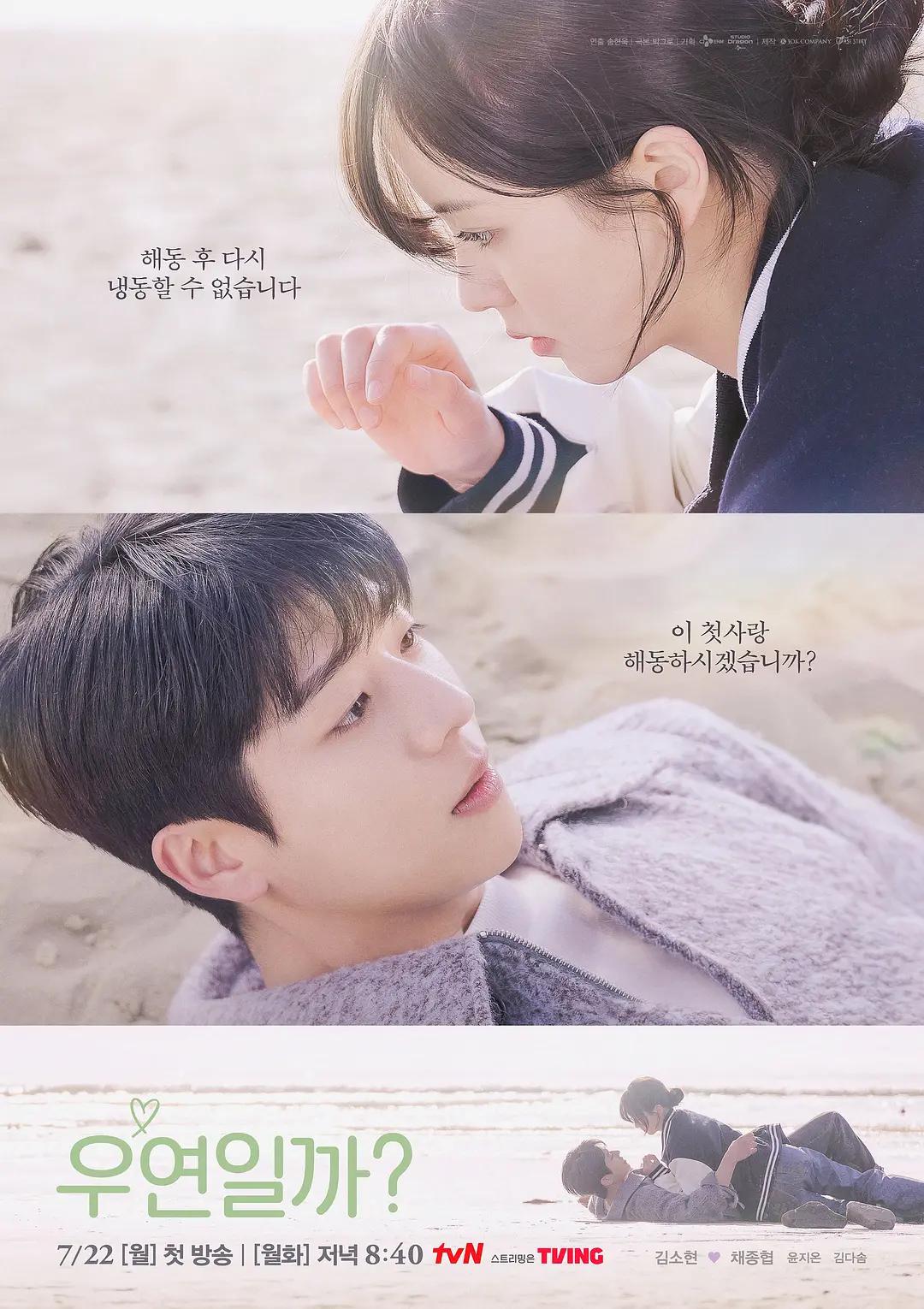 黄色的视频免费看 - 4k在线观看
