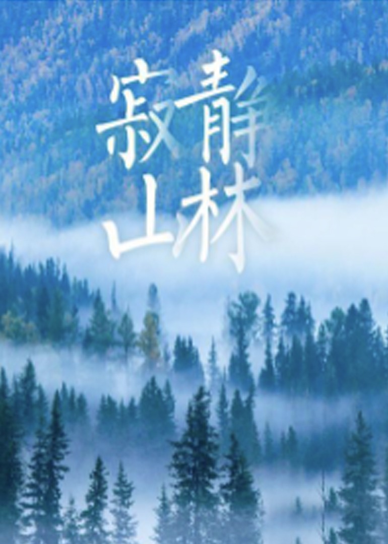 国产精品无码精品