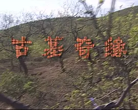 欧美日韩国产成人高清视