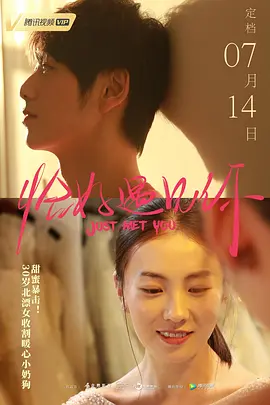 vip无广告