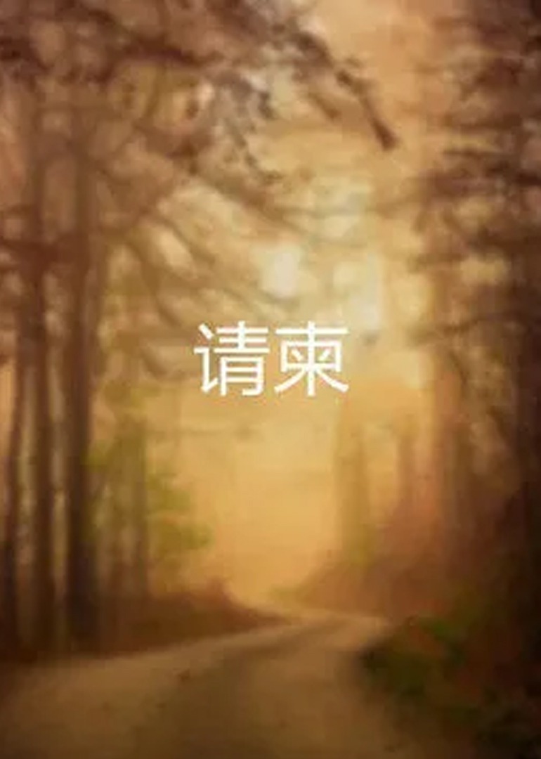 国产不卡av免费播放