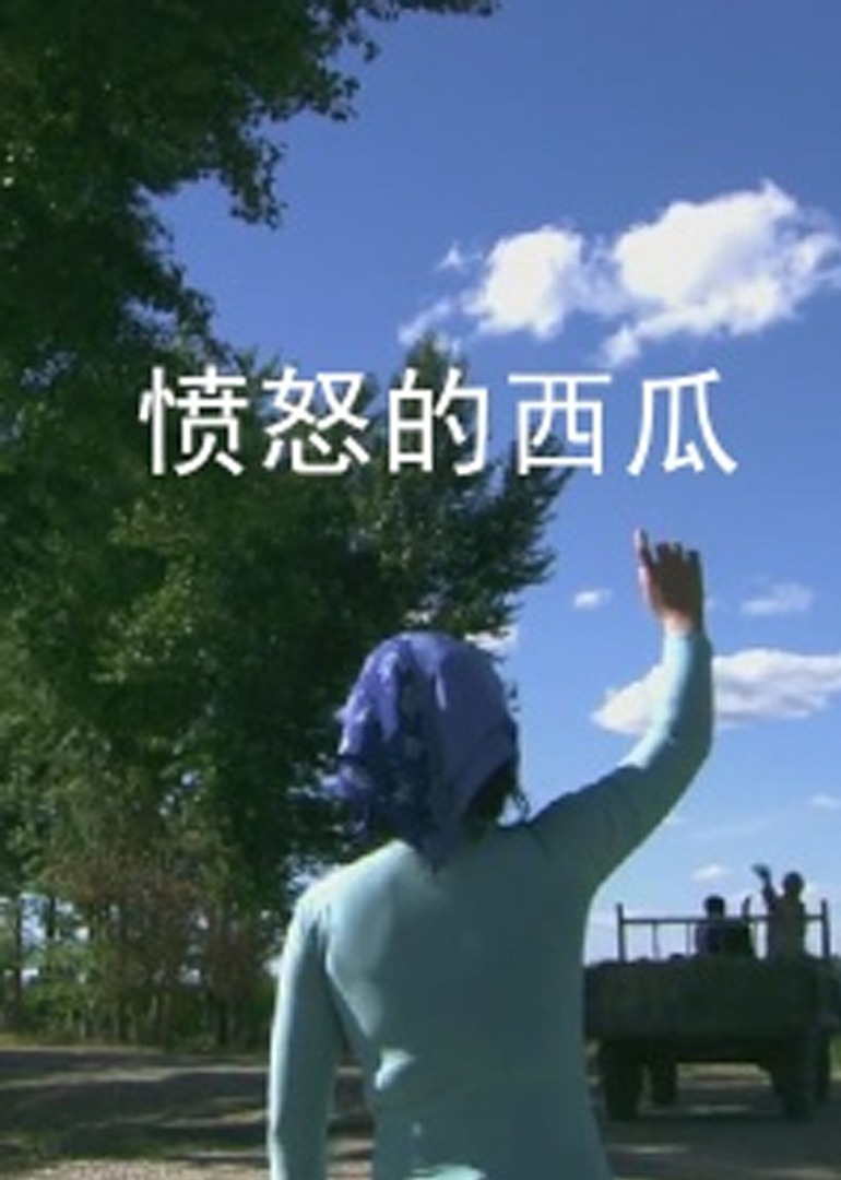 国产精品久久久久精品日日游戏